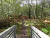 20200911113542-DSCN5517.JPG