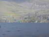 20200911115437-DSCN5532.JPG
