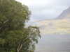 20200911115504-DSCN5536.JPG