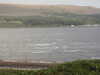 20200911190039-DSCN5549.JPG
