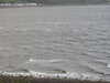 20200911190240-DSCN5556.JPG