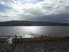20200912120532-DSCN5568.JPG