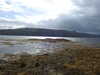 20200912121403-DSCN5584.JPG