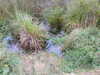 20200914094448-DSCN5611.JPG