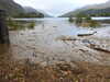 20200914094637-DSCN5617.JPG
