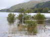 20200914094825-DSCN5624.JPG