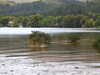 20200914094828-DSCN5625.JPG