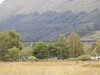20200914095120-DSCN5632.JPG