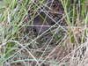 20200914095155-DSCN5633.JPG