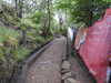 20200914095710-DSCN5634.JPG