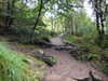 20200914095720-DSCN5635.JPG