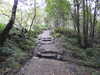 20200914095753-DSCN5636.JPG