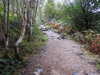 20200914095816-DSCN5637.JPG