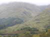 20200914104628-DSCN5656.JPG