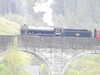 20200914104920-DSCN5666.JPG