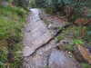 20200914105707-DSCN5703.JPG