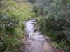 20200914105719-DSCN5704.JPG