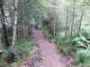 20200914105948-DSCF5606.JPG