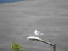 20200914154610-DSCN5706.JPG