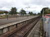 20200914155242-DSCN5707.JPG