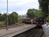 20200914155809-DSCN5711.JPG
