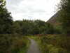 20200915103750-DSCN5743.JPG