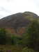20200915103800-DSCN5745.JPG
