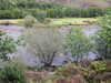 20200915103831-DSCN5747.JPG