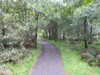 20200915103939-DSCN5752.JPG
