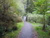 20200915103951-DSCN5753.JPG