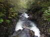 20200915104009-DSCN5754.JPG