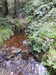 20200915104109-DSCN5761.JPG