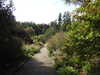 20200915131934-DSCN5775.JPG