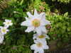 20200915131943-DSCN5776.JPG
