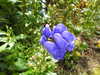 20200915131950-DSCN5777.JPG
