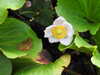 20200915132007-DSCN5778.JPG
