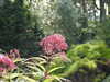 20200915132011-DSCN5779.JPG