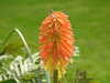 20200915132019-DSCN5780.JPG
