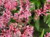 20200915132042-DSCN5784.JPG