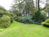 20200915132124-DSCN5786.JPG