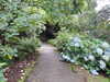 20200915132146-DSCN5787.JPG
