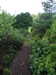 20200915132156-DSCF5621.JPG