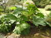 20200915132716-DSCN5793.JPG