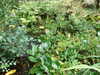 20200915132745-DSCF5628.JPG