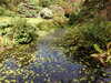 20200915132801-DSCN5796.JPG