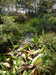 20200915132830-DSCN5799.JPG