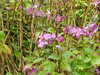 20200915132902-DSCN5802.JPG