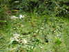 20200915132908-DSCN5803.JPG