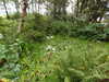 20200915132912-DSCN5804.JPG