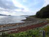 20200915133025-DSCN5810.JPG